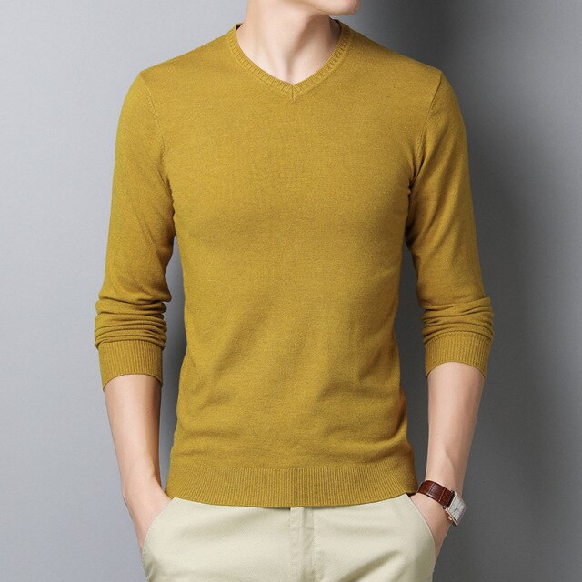 2021 New Men's Slim V-neck Sweater Spring Autumn Thin Pullover Knitted Sweaters Fashion Solid Color Casual Brand Male Clothes - Mandenge - Fall Outfit 2021